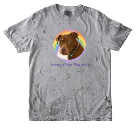 Finally Chosen, a Smoke Comfort Colors Colorblast Tee