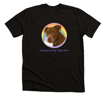 Finally Chosen, a Black Heather Premium Unisex Tee