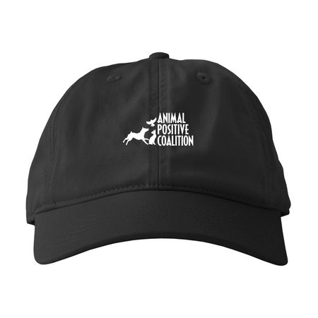3-color logo hat, a Black Printed Eco Baseball Cap