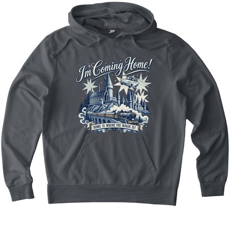 Home, a Terrain Grey Allmade Organic French Terry Pullover Hoodie
