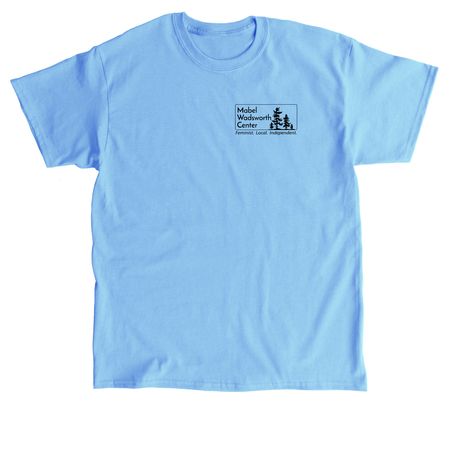 LGBTQIA+ Abortion Venn Diagram (see back), a Carolina Blue Classic Unisex Tee