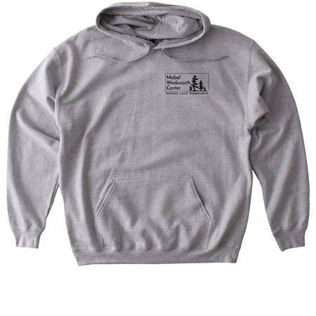 LGBTQIA+ Abortion Venn Diagram (see back), a Sport Grey Gildan Softstyle Pullover Hoodie