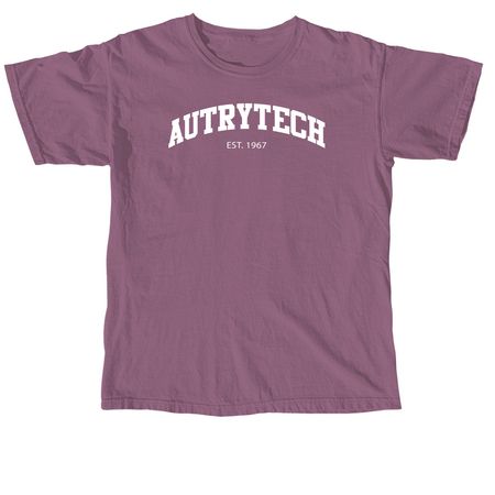 Established 1967 - White, a Berry Comfort Colors Unisex Tee