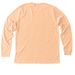 Sunset Park. Tees, Hoodies and Tanks, a Heather Peach Premium Long Sleeve Tee (back-view)