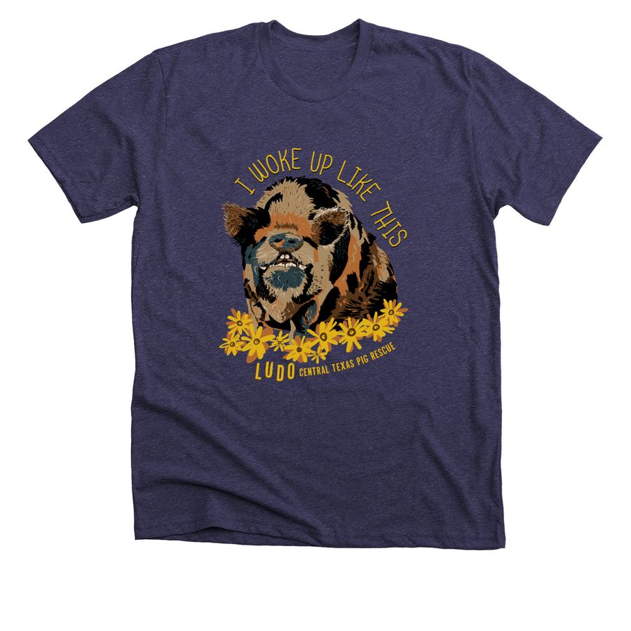 Ludo woke up like this, a Heather Lapis Premium Unisex Tee