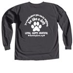 Fall 2026 fundraising campaign, a Graphite Comfort Colors Long Sleeve Tee (back-view)
