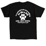 Fall 2026 fundraising campaign, a Black Classic Unisex Tee (back-view)