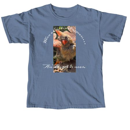 When a Cardinal appears. &nbsp;, a Blue Jean Comfort Colors Unisex Tee