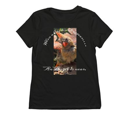 When a Cardinal appears. &nbsp;, a Deep Black Allmade Eco Triblend Women?s Tee