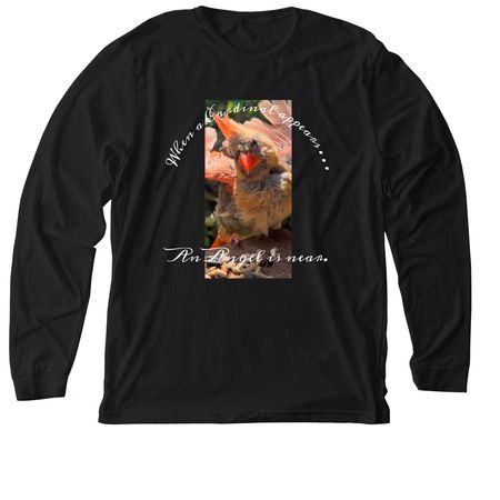When a Cardinal appears. &nbsp;, a Solid Black Blend Premium Long Sleeve Tee
