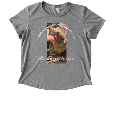 When a Cardinal appears. &nbsp;, a Aluminum Grey Allmade Eco Triblend Women?s Scoop Neck Tee