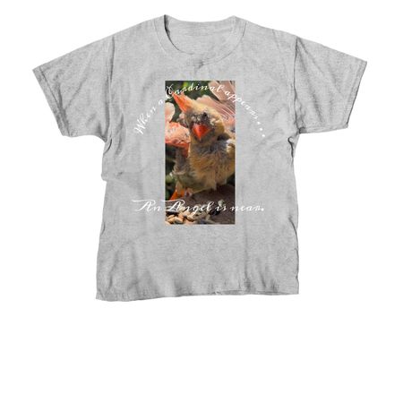 When a Cardinal appears. &nbsp;, a Sport Grey Youth Unisex Tee