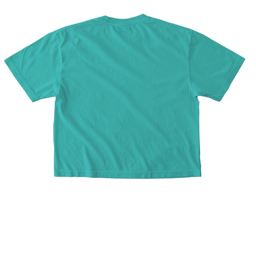 SSTLife - Eddie Baby Vibes - Cropped Tops, a Chalky Mint Comfort Colors Boxy Tee (back-view)