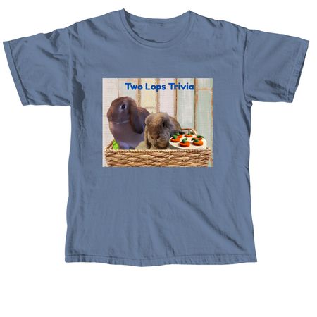 New Bunny Merch, a Blue Jean Comfort Colors Unisex Tee