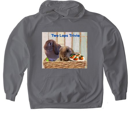 New Bunny Merch, a Charcoal Gildan Softstyle Pullover Hoodie