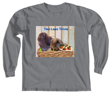 New Bunny Merch, a Granite Comfort Colors Long Sleeve Tee