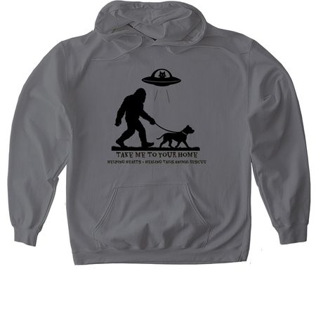 Crypto&nbsp;, a Charcoal Gildan Softstyle Pullover Hoodie