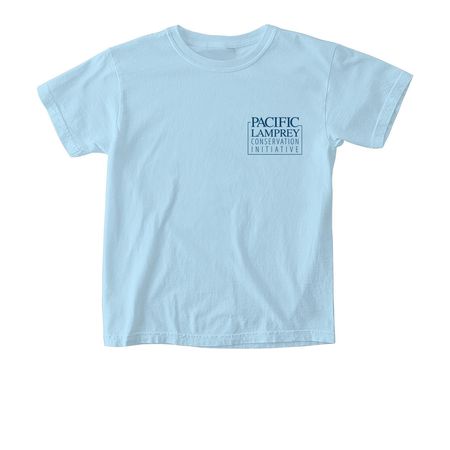 PLCI Shirts and Sweatshirts, a Chambray Comfort Colors Youth Tee