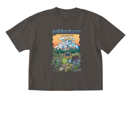 Goldenhour Collective, a Pepper Comfort Colors Boxy Tee