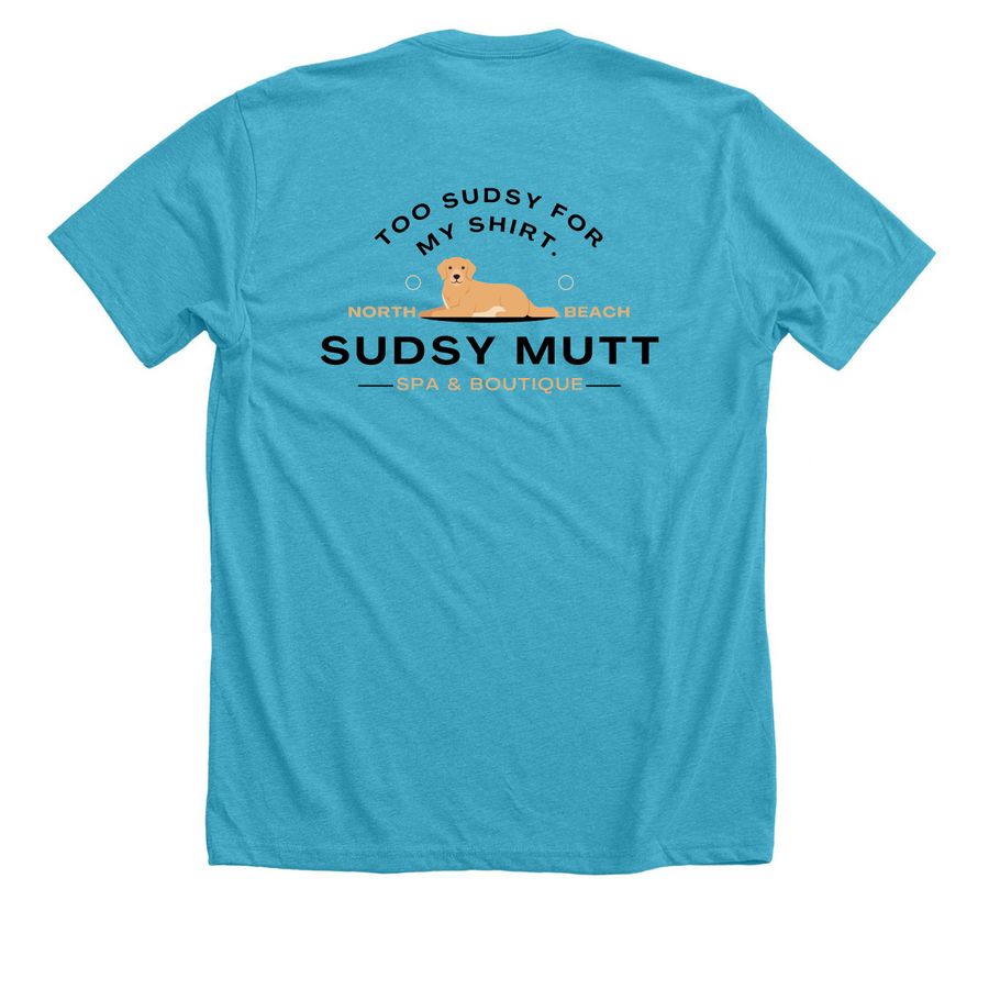 Sudsy Mutt Apparel, a Heather Aqua Premium Unisex Tee
