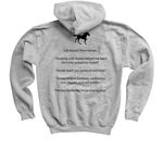 Youth Life Lessons from Horses - Light Colors, a Sport Grey Youth Pullover Hoodie (back-view)