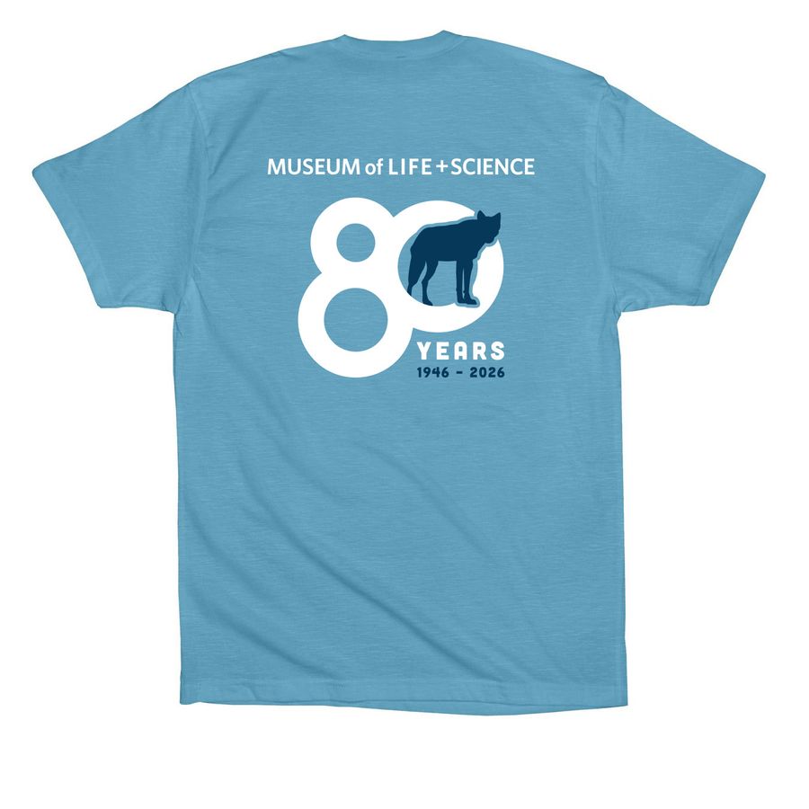 Celebrating 80 Years - Red Wolf T-shirts, a Ocean Blue Premium Cotton Tee (back-view)