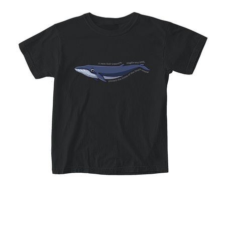 Protect the Rice's Whale, a Black Comfort Colors Youth Tee