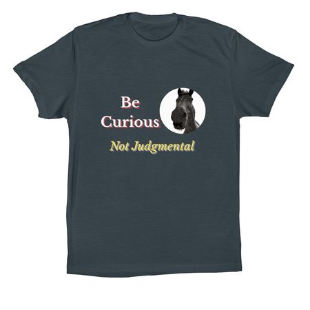 Be Curious, Not Judgmental, a Dark Grey Premium Cotton Tee