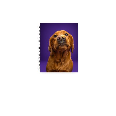 Skye Notebook&nbsp;, a White Spiral Notebook