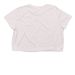HOT JAMMER, a Heather Dust Women?s Flowy Cropped Tee (back-view)