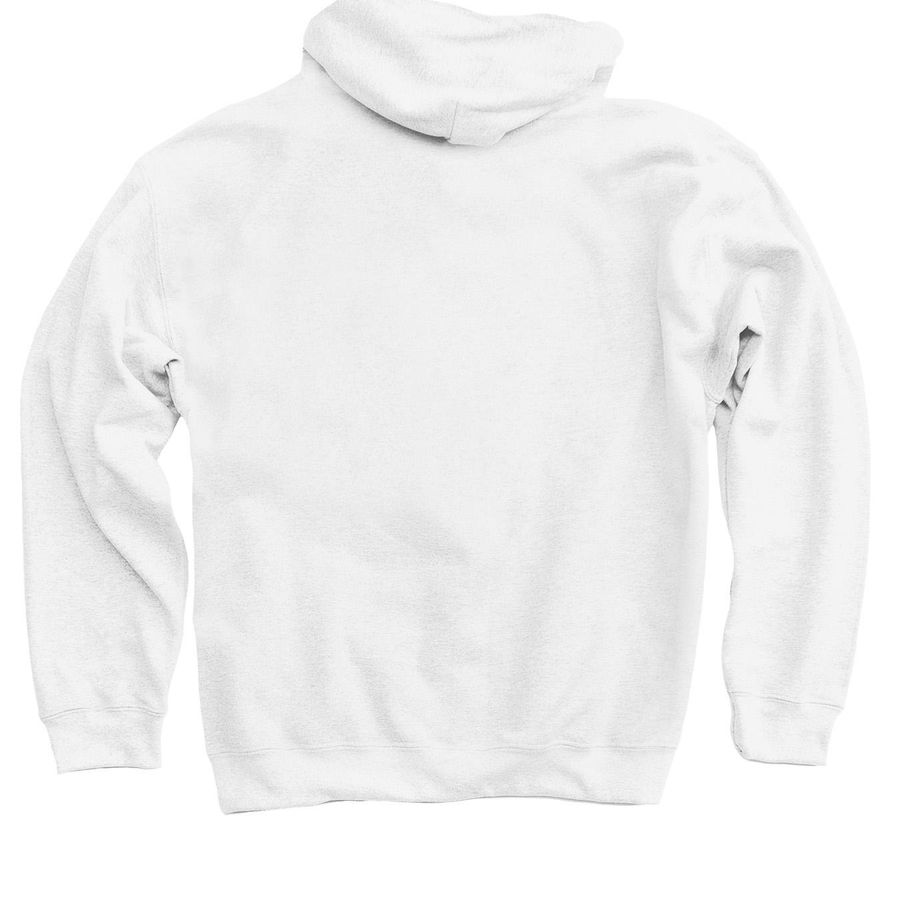 Defend, Protect, Disrupt, a White Pullover Hoodie (back-view)
