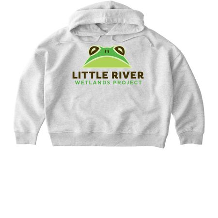 LRWP MEMBER, a Cool Heather Grey Stanley/Stella Women?s Stella Nora Pullover Hoodie