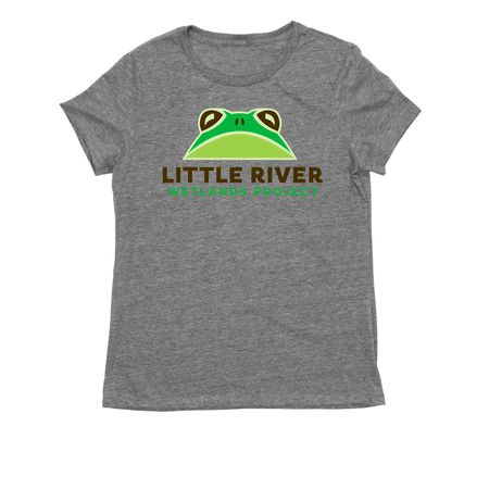 LRWP MEMBER, a Aluminum Grey Allmade Eco Triblend Women?s Tee