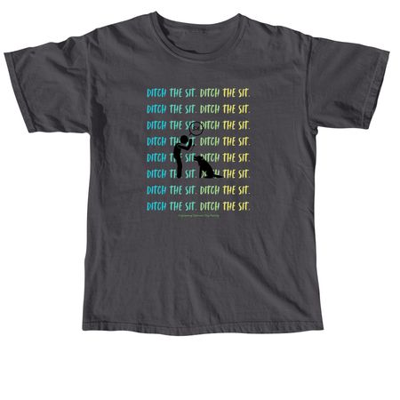 Ditch The Sit - Blue, Green, & Yellow, a Graphite Comfort Colors Unisex Tee