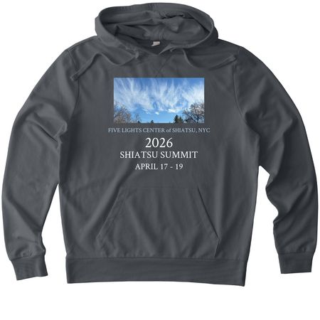 Dark Shirt 2026 Summit2, a Terrain Grey Allmade Organic French Terry Pullover Hoodie