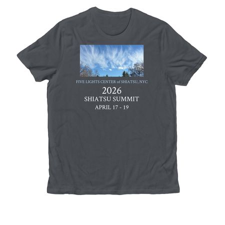 Dark Shirt 2026 Summit2, a Terrain Grey Allmade Organic Cotton Unisex Tee