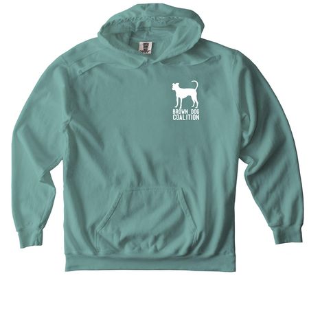 10th Anniversary Fundraiser, a Seafoam Comfort Colors Pullover Hoodie