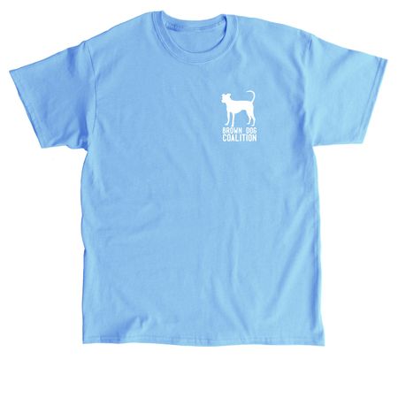 10th Anniversary Fundraiser, a Carolina Blue Classic Unisex Tee