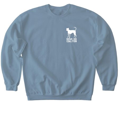 10th Anniversary Fundraiser, a Stone Blue Softstyle Crewneck Sweatshirt