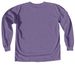 Make ALZ A Memory&nbsp;, a Grape Comfort Colors Long Sleeve Tee (back-view)