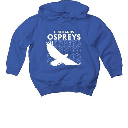 Toddler Highlands Osprey Stacked Hoodie, a Royal Toddler Pullover Hoodie