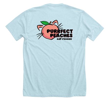 Color Logo - Front and Back, a Heather Ice Blue Premium Unisex Tee (back-view)