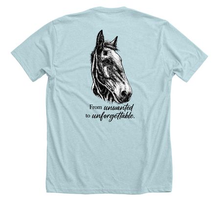 From Unwanted to UNFORGETTABLE, a Heather Ice Blue Premium Unisex Tee