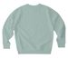 Fall 2026 Collection, a Aloe Stanley/Stella Unisex Changer 2.0 Crewneck Sweatshirt (back-view)