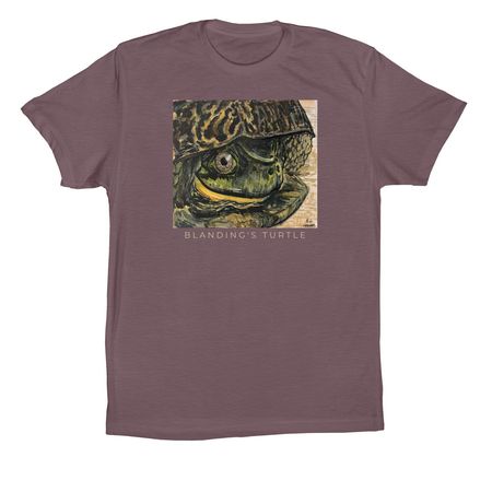June - Blanding's Turtle, a Purple Storm Premium Cotton Tee