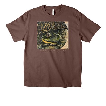 June - Blanding's Turtle, a Cocoa Unisex Heavyweight Tee