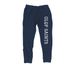 Team Spirit, a Classic Navy Midweight Fleece Joggers