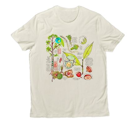 American Chestnut, a White Sand Allmade Organic Cotton Unisex Tee