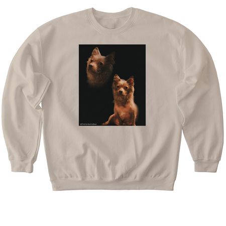 The HANDSOME Bean, a Sand Softstyle Crewneck Sweatshirt