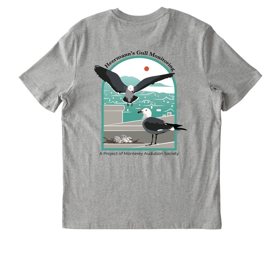 Heermann's Gull Logo Wear (black font), a Heather Grey Stanley/Stella Unisex Creator 2.0 Tee (back-view)
